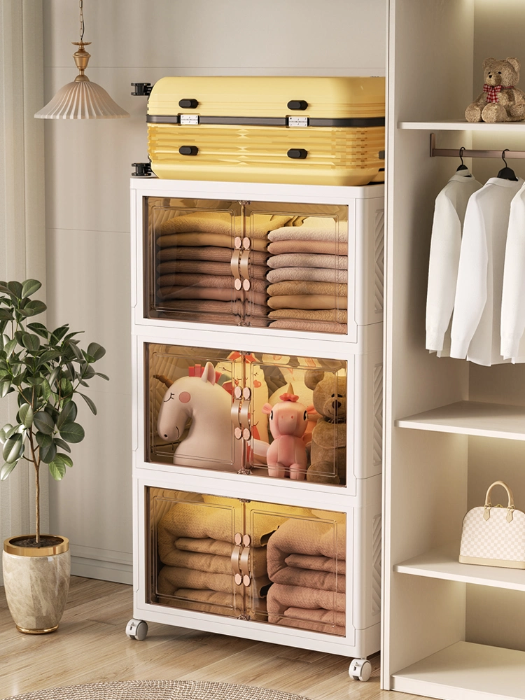 Closet Organizers and Storage Trunk Organizer