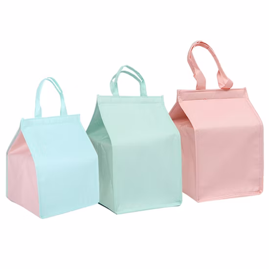 Fabricación de China al por mayor del bolso del refrigerador del almuerzo termal aislado no tejido personalizado de 6 paquetes